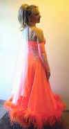 BALLROOM DANCE GOWN - Standard OrangBack01